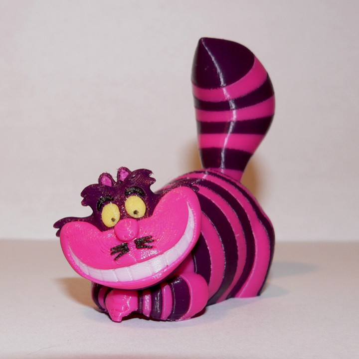 Photo of Cheshire Cat - MMU 3D Model