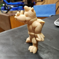 Picture of print of Banjo-Kazooie