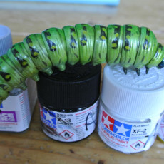 Picture of print of Juicy Caterpillar