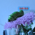 Juicy Caterpillar print image