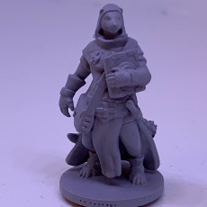 Picture of print of Ferret cleric