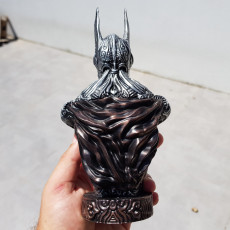 Picture of print of Bat bust