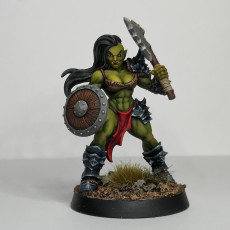Picture of print of Orc Barbarian - C (Lady) Modular This print has been uploaded by Dan