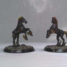 Picture of print of Nightmare Horse (Pre-Supported)