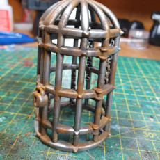 Picture of print of Prisioner Cages (Pre-Supported)