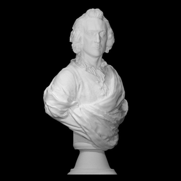 Bust of an Englishman image
