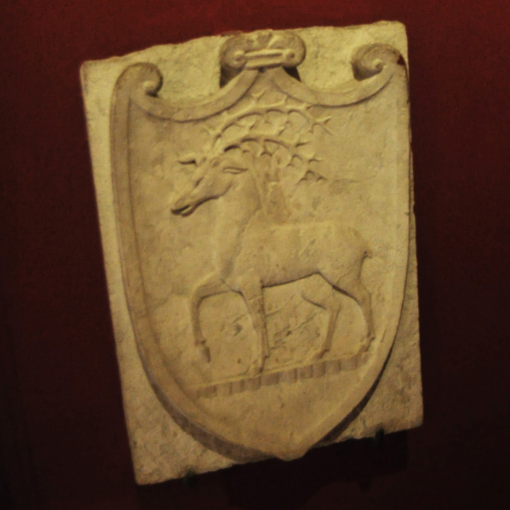 Coat of arms image