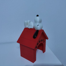 Picture of print of Snoopy - MMU