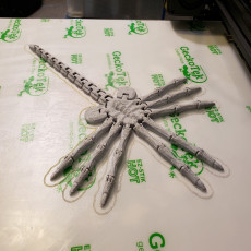 Picture of print of Flexi-Facehugger