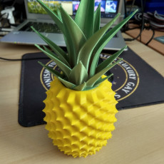 Picture of print of Pineapple Container