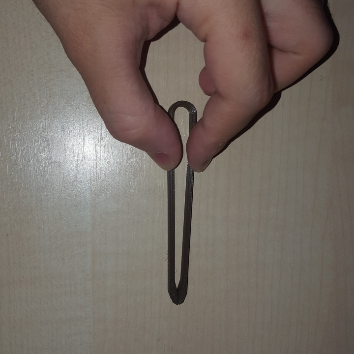 Forceps MEDIUM (For ant keeping) image