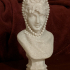 Female bust with a veil print image