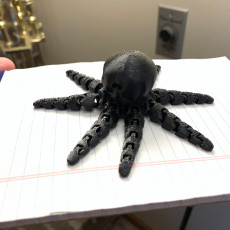 Picture of print of Cute Mini Octopus
