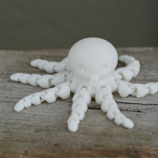 Picture of print of Cute Mini Octopus