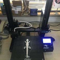 Picture of print of Articulated Lizard