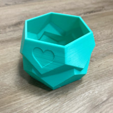 Picture of print of Polygon Planter