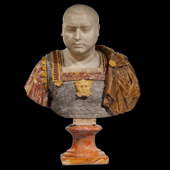Bust of Vitellius image