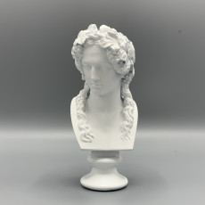 Picture of print of Head of Bacchus