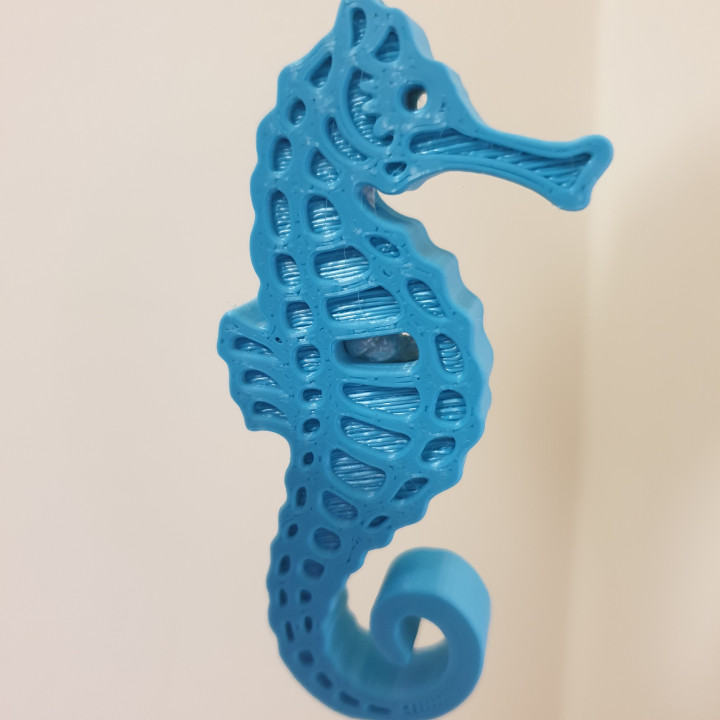 Seahorse Pull Cord image