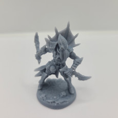 Picture of print of Depth One Reaver - C Modular
