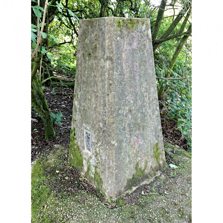 Ordnance Survey Trig Point S3147 at Lickey Hills image
