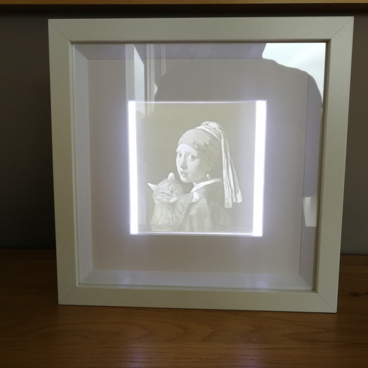 Lithophane with IKEA RIBBA frame and led lighting image