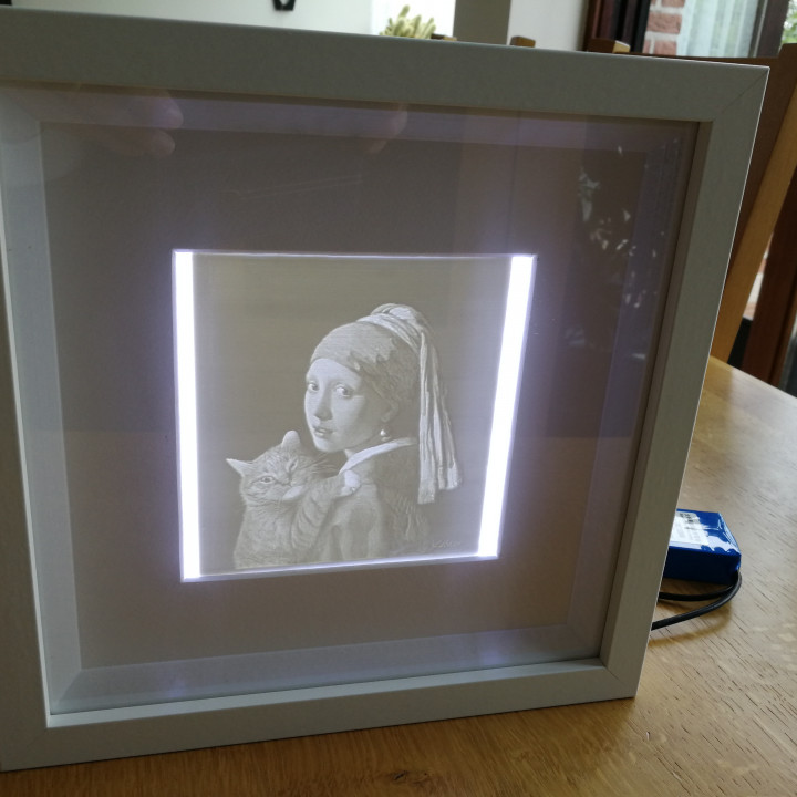 Lithophane with IKEA RIBBA frame and led lighting image