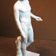 Picture of print of Antinous Farnese
