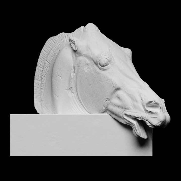 Head of the Horse of Selene image