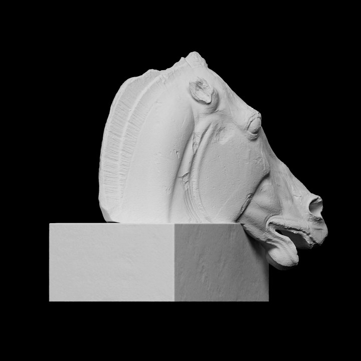 Head of the Horse of Selene image
