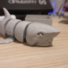 Picture of print of Articulated Shark