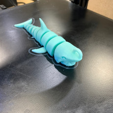 Picture of print of Articulated Shark