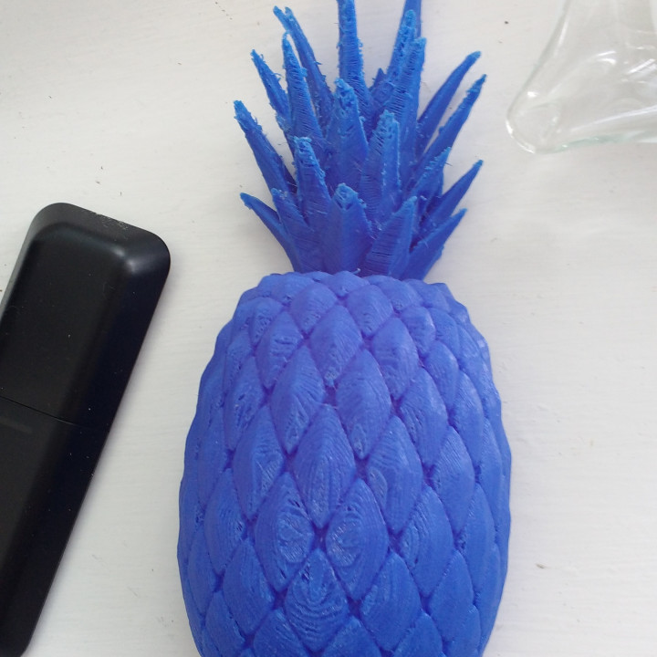 Pineapple Half for mounting to a picture frame, etc.. image