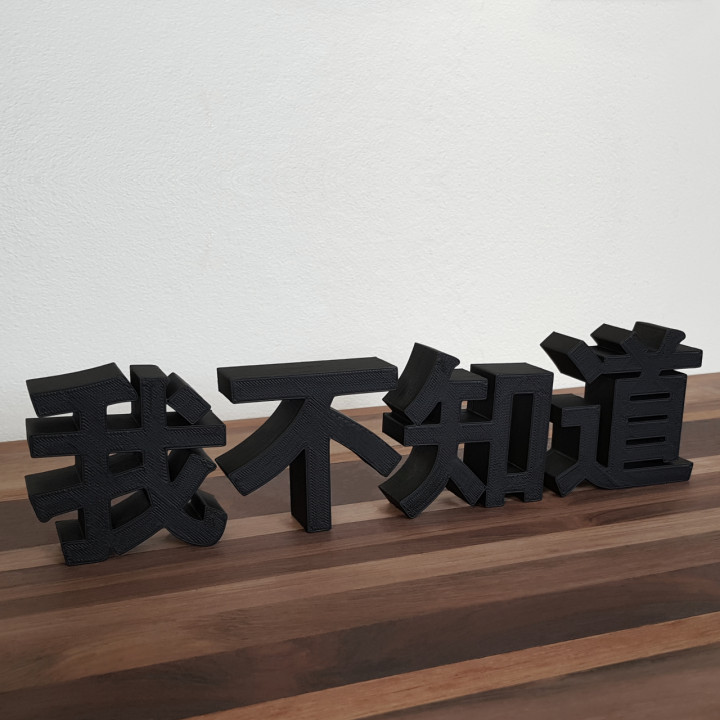 I DONT KNOW (我不知道) image
