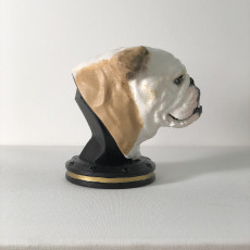 Picture of print of English Bulldog
