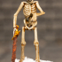 Undead Skeleton Swordsmen - Tabletop Miniature print image