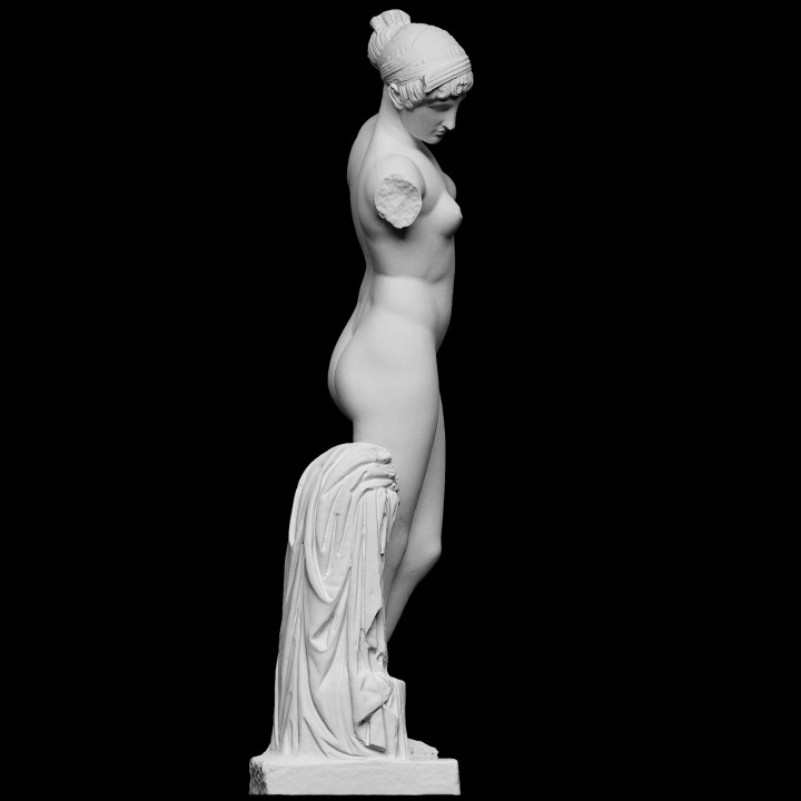 Esquiline Venus image