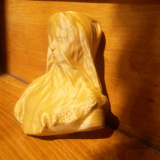 Picture of print of Bust of a veiled woman