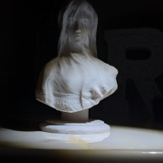 Picture of print of Bust of a veiled woman