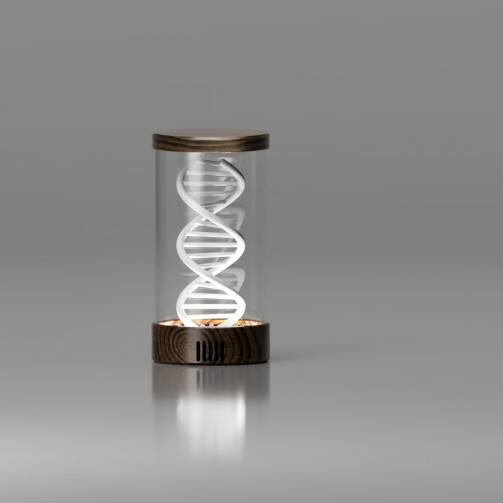 Revolving DNA Lamp image