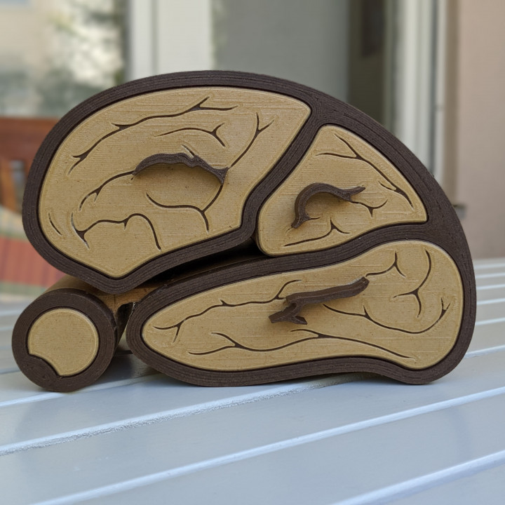 Brain Cabinet image