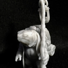 Picture of print of Turtle Traveller - NPC Character - 2 Poses