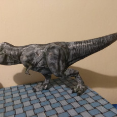 Picture of print of Tyrannosaurus Rex statue