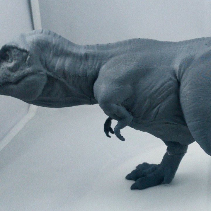 Tyrannosaurus Rex statue image