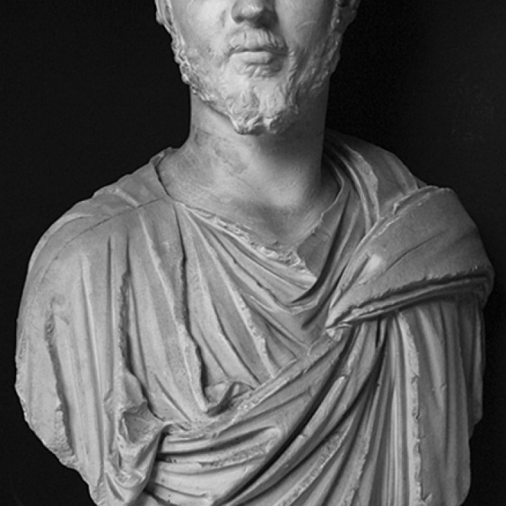 Portrait of a Man (Septimius Severus?) image