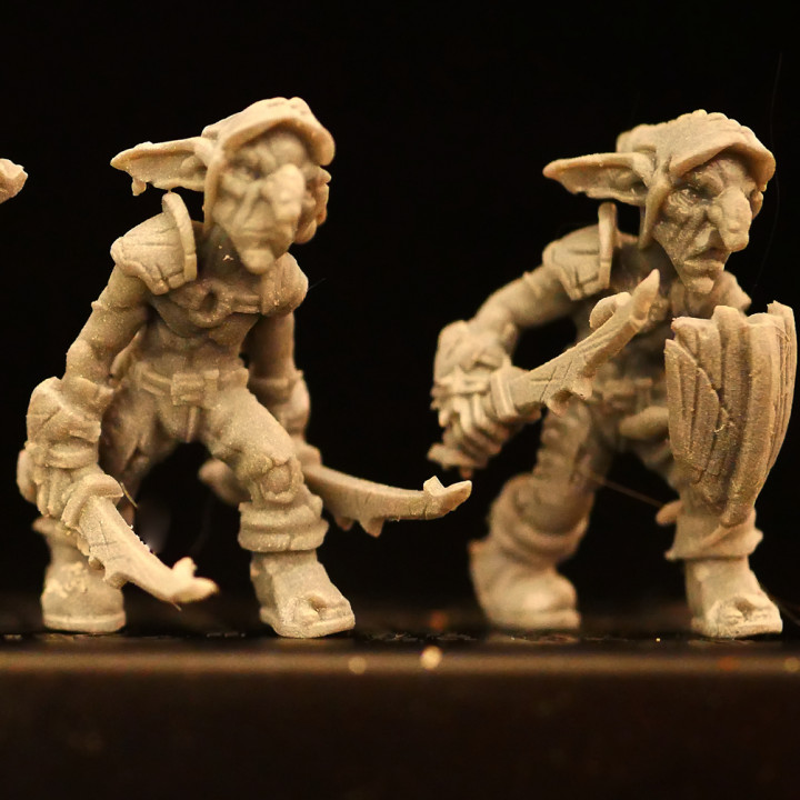 Marauder Goblin Pack [Pre-Supported] image
