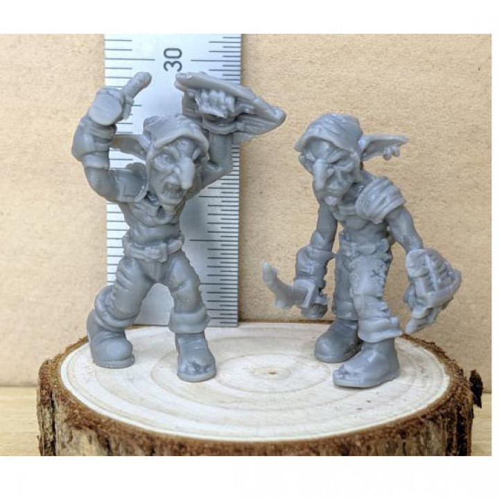 Marauder Goblin Pack [Pre-Supported] image
