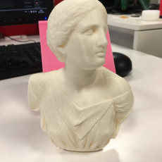 Picture of print of Bust from The Daughters of Niobe