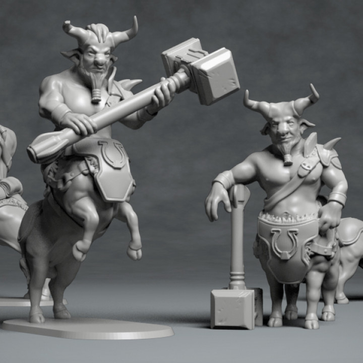 Bull Centaur - DnD Character - 2 Poses image