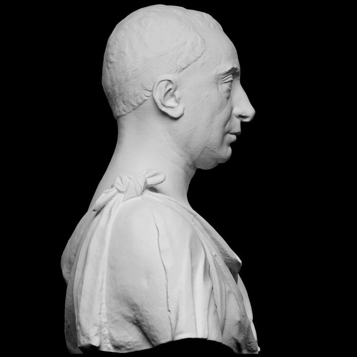 Bust of Francesco di Tommaso Sassetti image